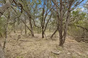 1398 Lazy Forest Forest, New Braunfels, TX 78132 - Photo 18
