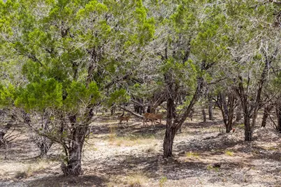 707 Moonlight Bay Drive, Spicewood, TX 78669 - Photo 12