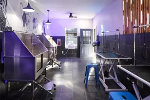 12001 Metric Blvd, Austin, TX 78758 - Photo 16