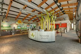 16520 Wind Chime Dr, Manor, TX 78653 - Photo 38