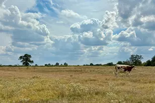 3 Big Sky Ranch Rd, Smithville, TX 78957 - Photo 1