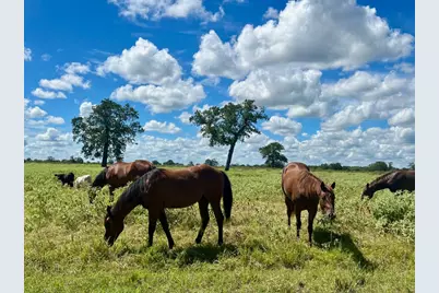 3 Big Sky Ranch Road, Smithville, TX 78957 - Photo 10