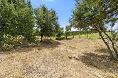 15801 Palomino Ranch Drive, Leander, TX 78641 - Photo 14