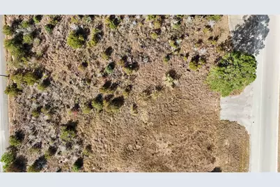 4501 Highway 71 E, Bastrop, TX 78602 - Photo 18