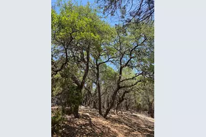 17803 Moon Rise Cove, Jonestown, TX 78645 - Photo 12