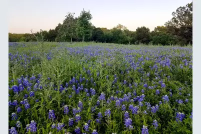 128 Horizon Ridge Cove, Liberty Hill, TX 78642 - Photo 12