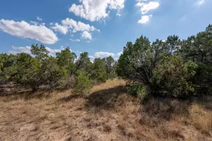 214 Midnight Sky Dr, Austin, TX 78737 - Photo 22