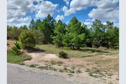 Lot 3 Tall Forest Drive, Bastrop, TX 78602 - Photo 2