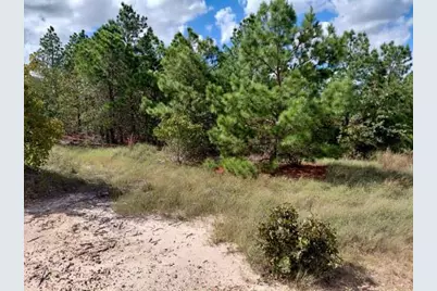 Lot 3 Tall Forest Drive, Bastrop, TX 78602 - Photo 8