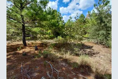 Lot 3 Tall Forest Drive, Bastrop, TX 78602 - Photo 6