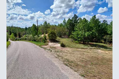 Lot 3 Tall Forest Drive, Bastrop, TX 78602 - Photo 1