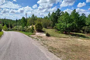 Lot 3 Tall Forest Dr, Bastrop, TX 78602 - Photo 1