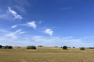 700 County Road 330 Rd, Granger, TX 76530 - Photo 4