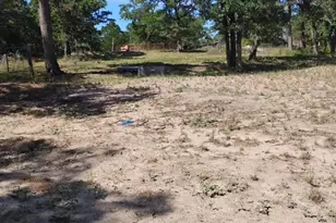 647 Hidden Oaks Dr, Elgin, TX 78621 - Photo 4