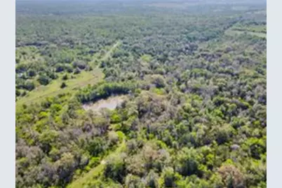 Tbd High Grove Road, Cedar Creek, TX 78612 - Photo 14