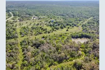Tbd High Grove Road, Cedar Creek, TX 78612 - Photo 4