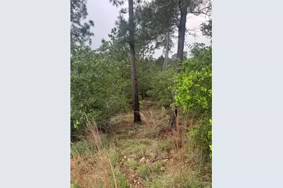 Lot 1614 Kaanapali Lane, Bastrop, TX 78602 - Photo 4