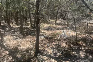 1381 Western Skies Dr, Spring Branch, TX 78070 - Photo 1