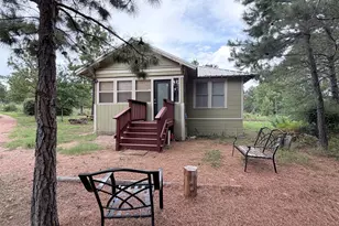 291 Ponderosa Loop, Paige, TX 78659 - Photo 30
