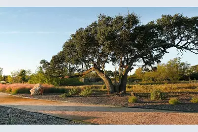 637 Hickory Bend Road, Georgetown, TX 78628 - Photo 4