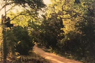 637 Hickory Bend Rd, Georgetown, TX 78628 - Photo 10