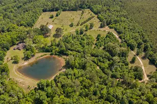 1655 County Road 1627 Rd, Linden, TX 75630 - Photo 2