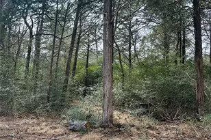 1053 Elm Crest Dr, New Ulm, TX 78950 - Photo 26