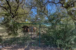 200 Harbor Cir Circle, Georgetown, TX 78633 - Photo 28