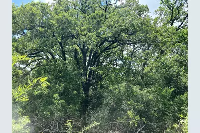 Tbd N Hwy 77, Lincoln, TX 78948 - Photo 10