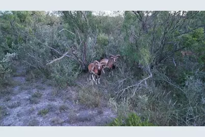 000 Ranch To Market 3008 Ranch, Brackettville, TX 78832 - Photo 4