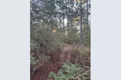 103 Lake Point Way, Bastrop, TX 78602 - Photo 2