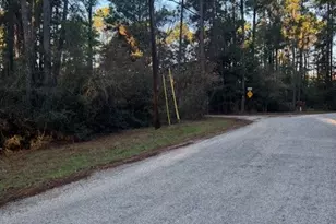 103 Lake Point Way, Bastrop, TX 78602 - Photo 1