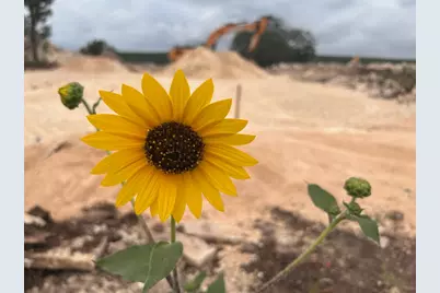 8202 Sparta Road, Belton, TX 76513 - Photo 8