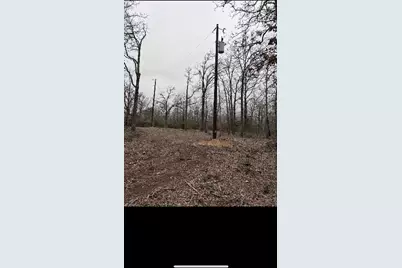 1304 Walleye Creek Trail Street, Lexington, TX 78947 - Photo 4