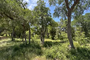 100 Serenity Dr, Liberty Hill, TX 78642 - Photo 1