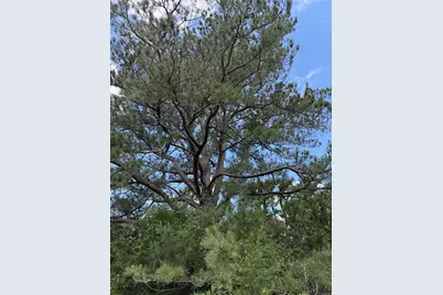 1749 Fm 535, Smithville, TX 78957 - Photo 2