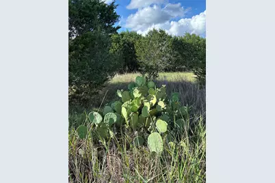1200 Cave Springs Drive, Wimberley, TX 78676 - Photo 1