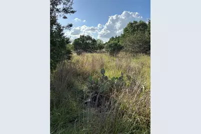 1200 Cave Springs Drive, Wimberley, TX 78676 - Photo 12