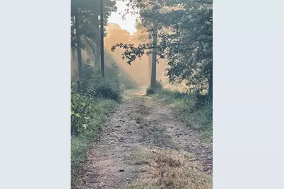 360 Copeland Hill Road #3-B, Smithville, TX 78957 - Photo 4