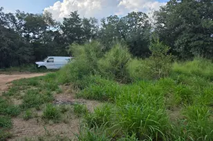 119 Turkey Run, Cedar Creek, TX 78612 - Photo 6