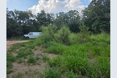 119 Turkey Run, Cedar Creek, TX 78612 - Photo 6