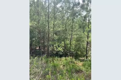 Lot 4 Kainalu Lane, Bastrop, TX 78602 - Photo 8