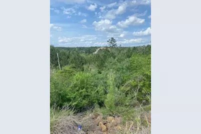 Lot 4 Kainalu Lane, Bastrop, TX 78602 - Photo 2