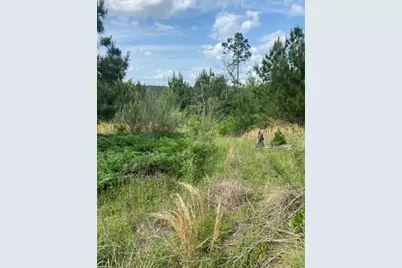 Lot 4 Kainalu Lane, Bastrop, TX 78602 - Photo 10