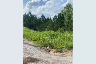 Lot 4 Kainalu Lane, Bastrop, TX 78602 - Photo 12