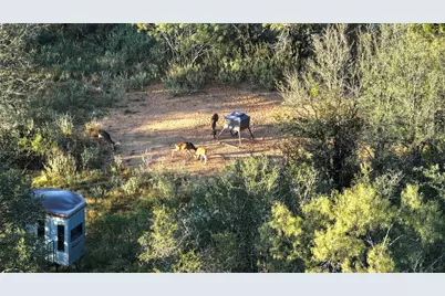 392 County Road 230, San Saba, TX 76877 - Photo 8