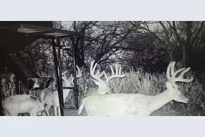 392 County Road 230, San Saba, TX 76877 - Photo 16