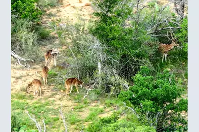 392 County Road 230, San Saba, TX 76877 - Photo 24