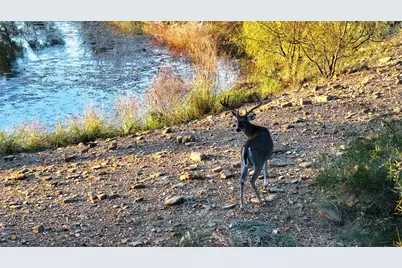 392 County Road 230, San Saba, TX 76877 - Photo 12