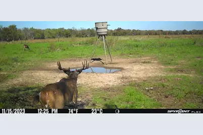 [Address not provided], Elgin, TX 78653 - Photo 16